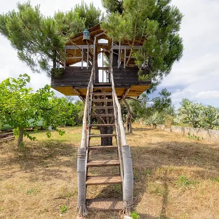 Apartmán Eliados - Bungalow 2 Diso